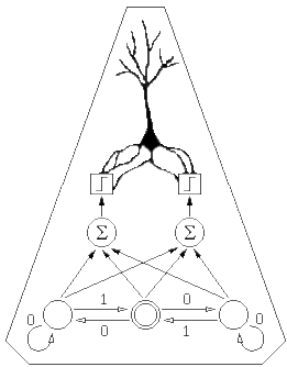 - BIOLOGICAL COMPUTATION PROJECT -